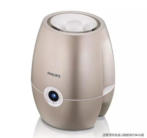 元旦造梦者 你知道吗