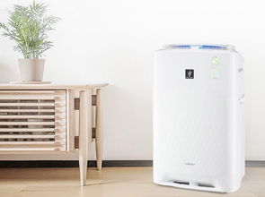 雾霾的伤害比你想的更严重 你还不买个空气净化器吗
