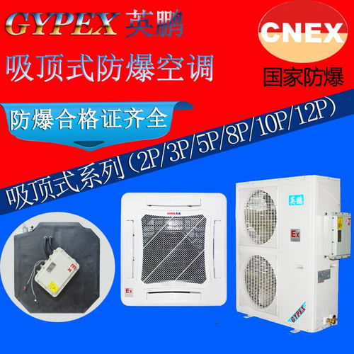 制药厂吸顶式英鹏防爆天花机2p 谷瀑环保